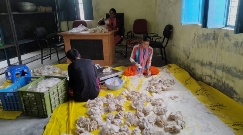 “राष्ट्रीय ग्रामीण आजीविका मिशन” गरीब परिवार की महिलाओं के लिए आजीविका की राह